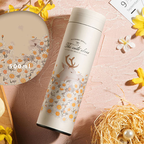 Insulated Stainless Steel Water Bottle