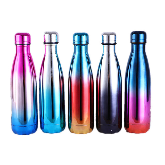 Stainless Steel Water Bottle